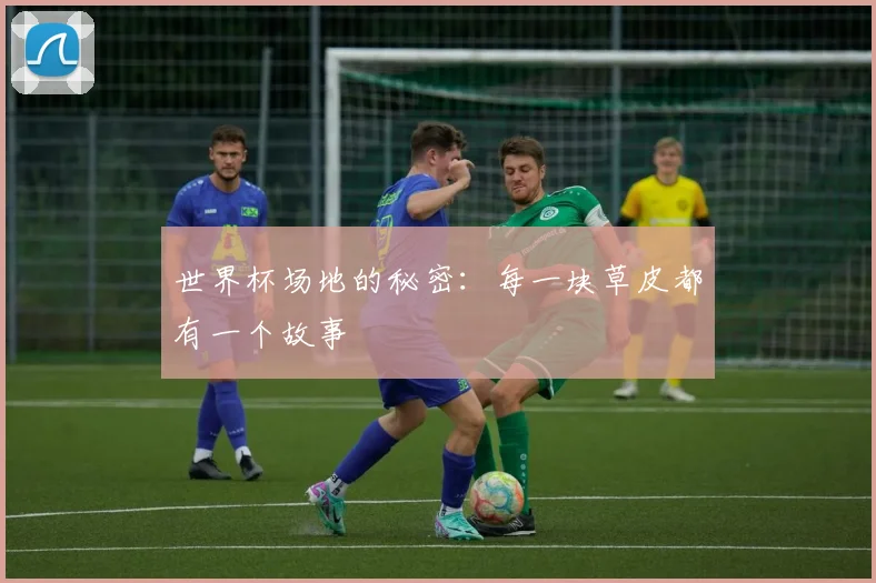 世界杯场地的秘密：每一块草皮都有一个故事